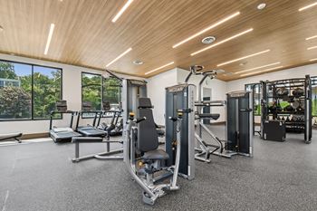 A gym with a variety of equipment including a treadmill, weights, and a bench.